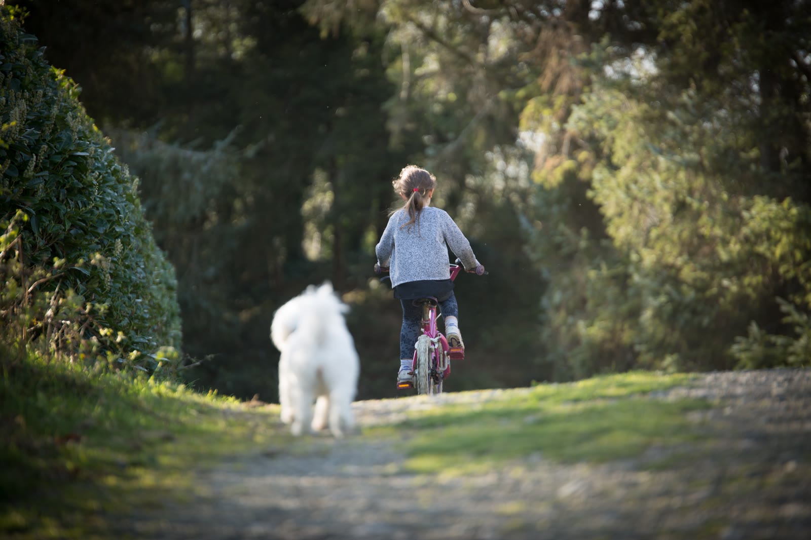 Niña andando en bici con su perro en Lagos de Piñero